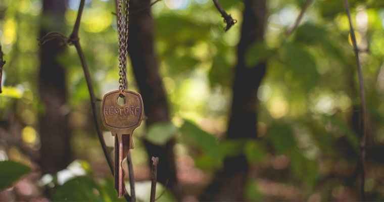 Lost keys on a picnic - in nature - in forest - What to do?